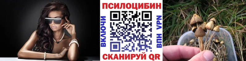 Галлюциногенные грибы мицелий  Орлов 