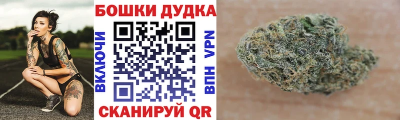 дарнет шоп  Орлов  ОМГ ОМГ tor  Бошки марихуана индика 